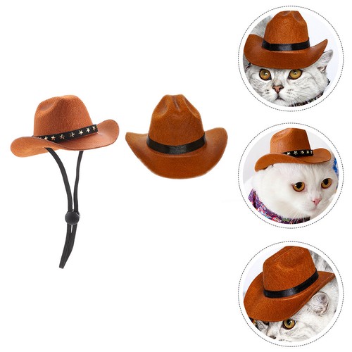 Pezzi cappelli cowboy - 2,