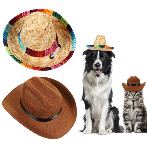 Cappello festa per gatti - per, 2