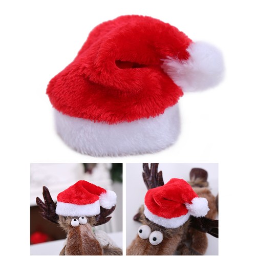 Cappello natalizio cane - cappello,