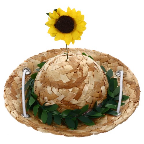 Cappello sombrero per cani - cappello,