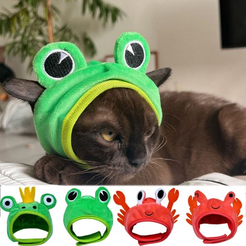 Cappello rana gatto - , cane