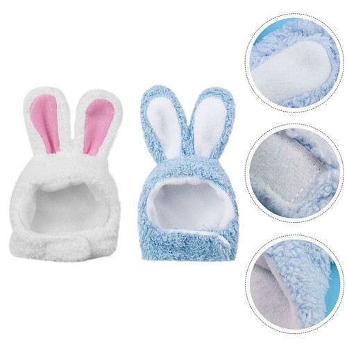 Costume gatto resistente