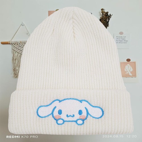 Costume cappello berretto